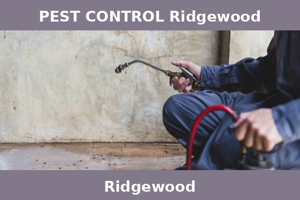 PEST CONTROL Ridgewood